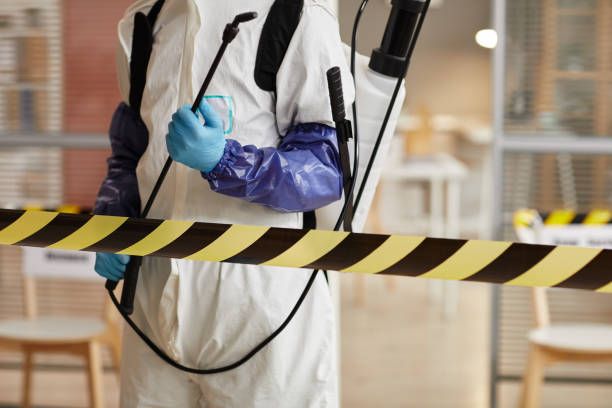 Professional Sewage Cleanup technician working in Brush, CO